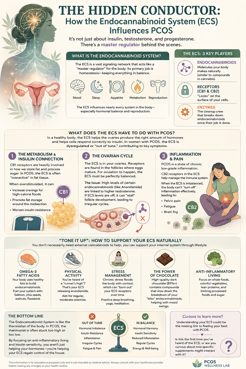 The Hidden Link: The Endocannabinoid System (ECS) and PCOS